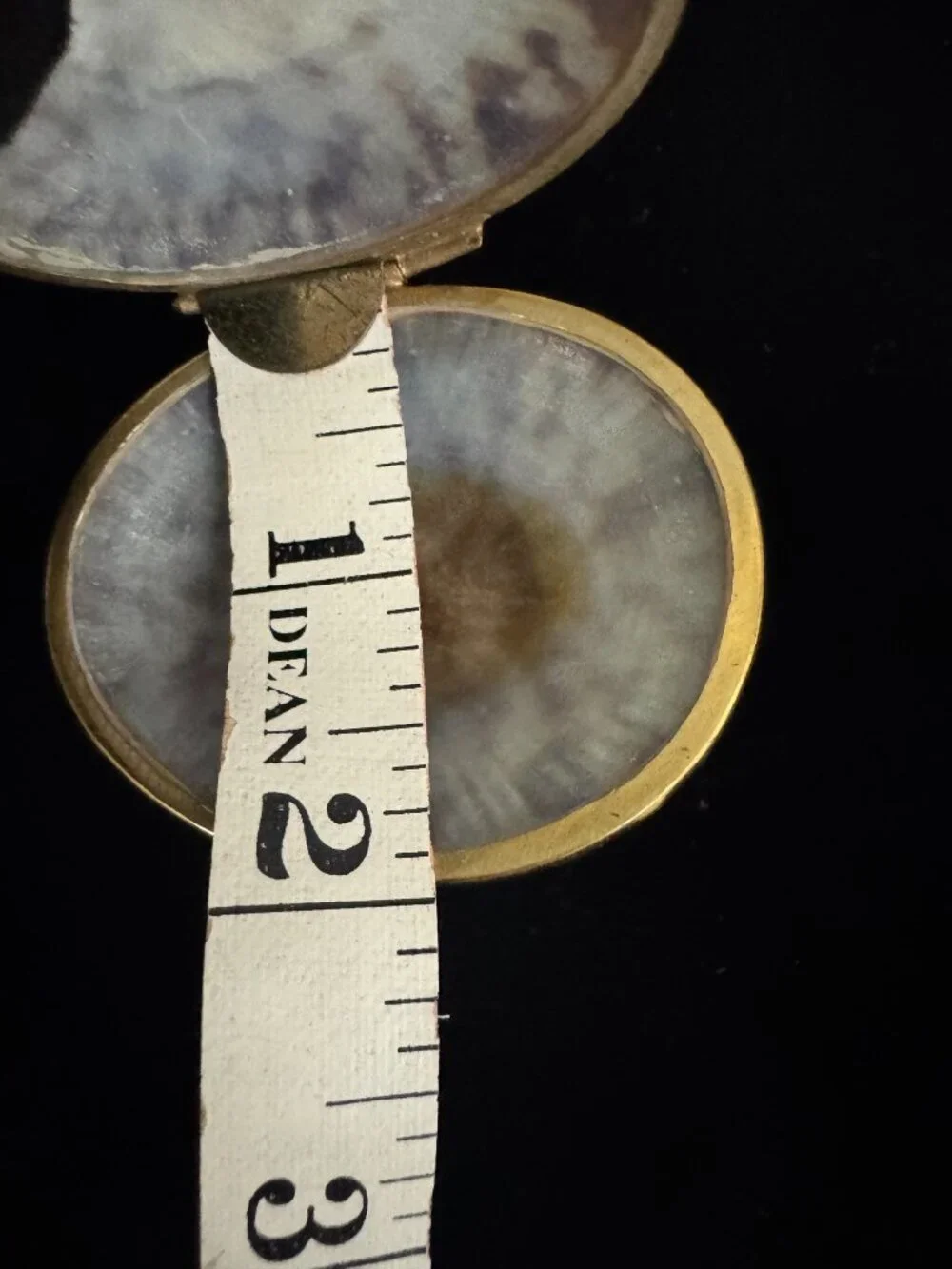 Shell trinket box with brass rim